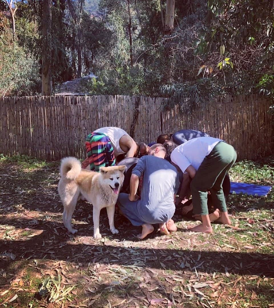 Ağaçların altında, bambu çitin önünde kümelenmiş grup ve yanında bir köpek